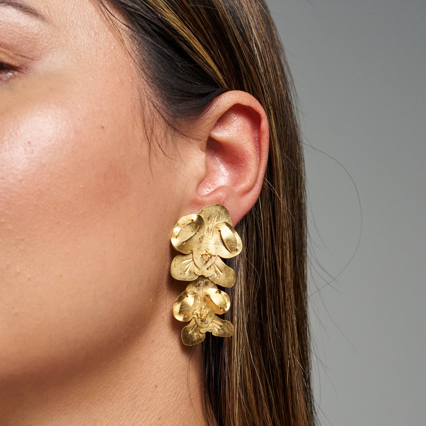 Cattleya Studs