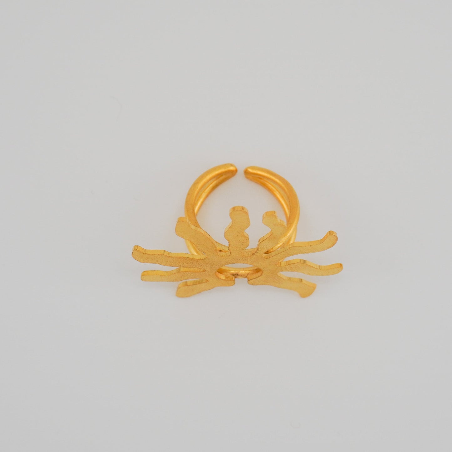 Inti Ring