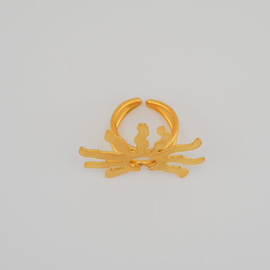 Inti Ring
