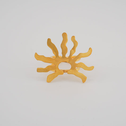 Inti Ring