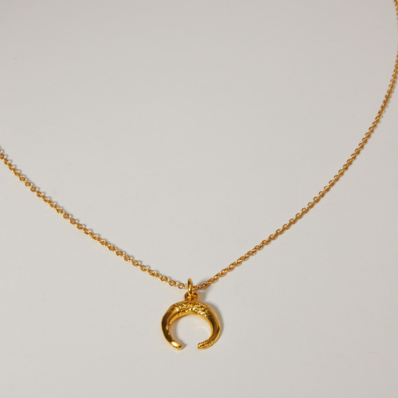 Luna Charm
