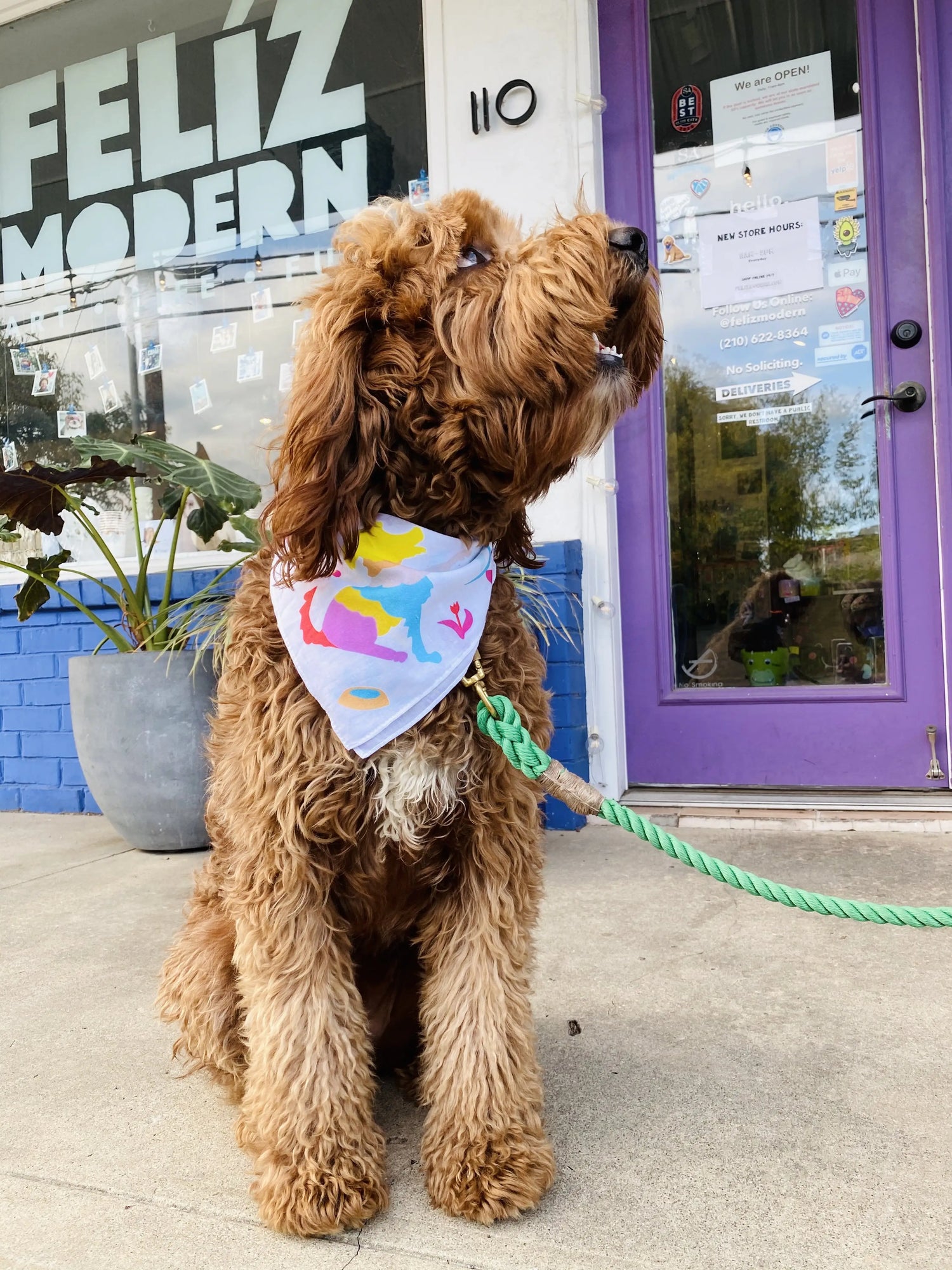 Dog Bandana - Hello!